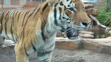 那須どうぶつ王国に投稿された画像（2023/8/10）