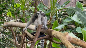 那須どうぶつ王国に投稿された画像（2023/8/10）