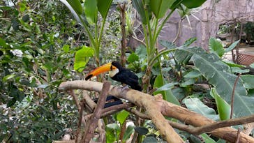 那須どうぶつ王国に投稿された画像（2023/8/10）