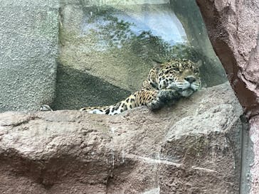 那須どうぶつ王国に投稿された画像（2023/8/10）