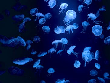 AOAO SAPPOROに投稿された画像（2023/8/10）