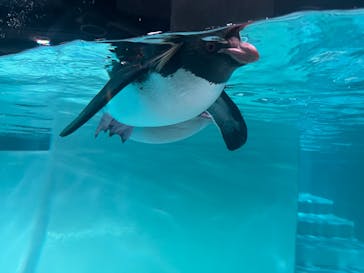 AOAO SAPPOROに投稿された画像（2023/8/10）