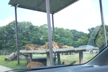 那須サファリパークに投稿された画像（2023/8/10）