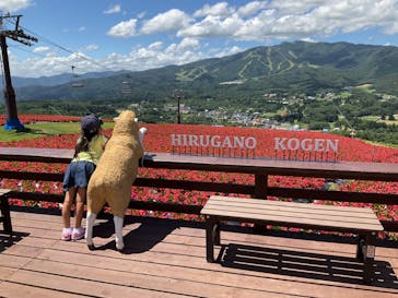 ひるがのピクニックガーデンに投稿された画像（2023/8/10）