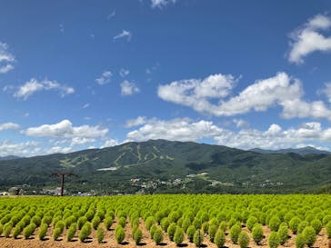 ひるがのピクニックガーデンに投稿された画像（2023/8/10）