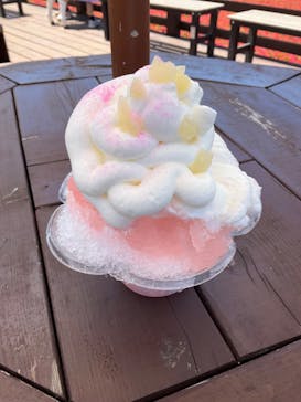 ひるがのピクニックガーデンに投稿された画像（2023/8/10）