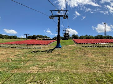 ひるがのピクニックガーデンに投稿された画像（2023/8/10）