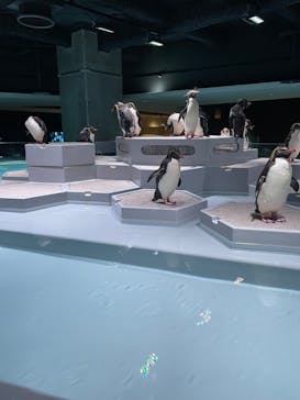 AOAO SAPPOROに投稿された画像（2023/8/10）