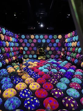 チームラボフォレスト 福岡 - SBI証券に投稿された画像（2023/8/10）