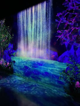 チームラボフォレスト 福岡 - SBI証券に投稿された画像（2023/8/10）