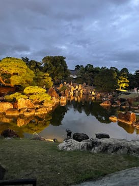 NAKED meets 二条城 2025 観月に投稿された画像（2023/8/10）