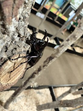 JOYPOLIS 特別イベントスペースに投稿された画像（2023/8/10）