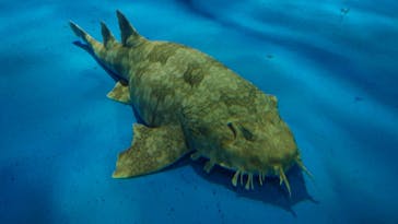 島根県立 しまね海洋館に投稿された画像（2023/8/10）