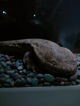 AOAO SAPPOROに投稿された画像（2023/8/10）