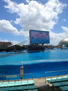 名古屋港水族館に投稿された画像（2023/8/10）