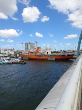 名古屋港水族館に投稿された画像（2023/8/10）