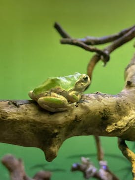 サンシャイン水族館に投稿された画像（2023/8/10）