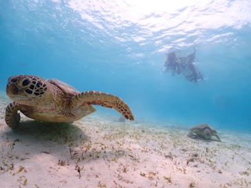 宮古島マリン GB QUESTに投稿された画像（2023/8/10）