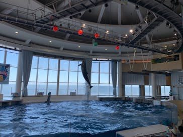 アクアワールド茨城県大洗水族館に投稿された画像（2023/8/10）