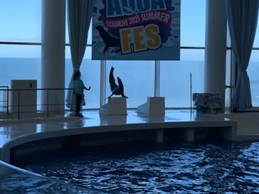 アクアワールド茨城県大洗水族館に投稿された画像（2023/8/10）