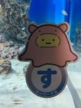 アクアワールド茨城県大洗水族館に投稿された画像（2023/8/10）