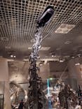 国立科学博物館に投稿された画像（2023/8/10）