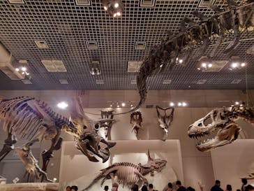 国立科学博物館に投稿された画像（2023/8/10）