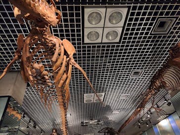 国立科学博物館に投稿された画像（2023/8/10）