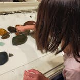 新江ノ島水族館に投稿された画像（2023/8/10）