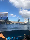 名古屋港水族館に投稿された画像（2023/8/10）