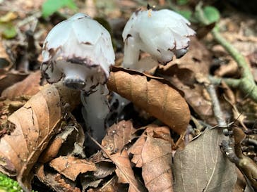 TOCORO.TOURS（トコロツアーズ）に投稿された画像（2023/8/4）