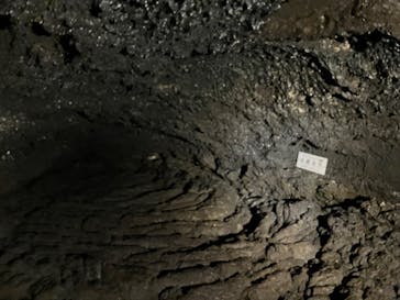 TOCORO.TOURS（トコロツアーズ）に投稿された画像（2023/8/4）