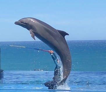 上越市立水族博物館 うみがたりに投稿された画像（2023/8/10）