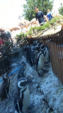 上越市立水族博物館 うみがたりに投稿された画像（2023/8/10）