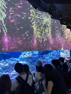 マクセル アクアパーク品川に投稿された画像（2023/7/24）