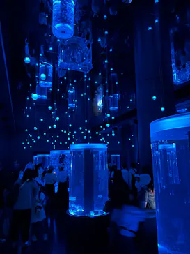 マクセル アクアパーク品川に投稿された画像（2023/7/24）