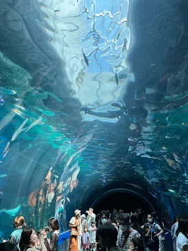 マクセル アクアパーク品川に投稿された画像（2023/7/24）