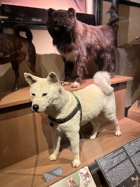 国立科学博物館に投稿された画像（2023/8/10）