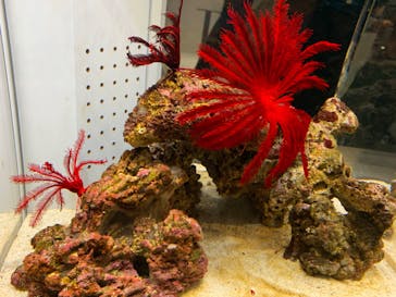 AOAO SAPPOROに投稿された画像（2023/8/10）