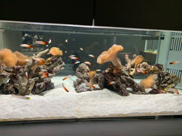 AOAO SAPPOROに投稿された画像（2023/8/10）