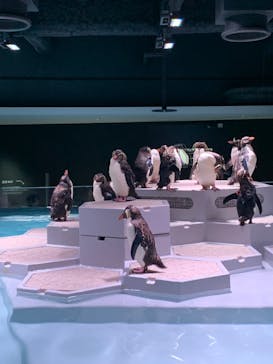 AOAO SAPPOROに投稿された画像（2023/8/10）