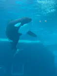名古屋港水族館に投稿された画像（2023/8/10）
