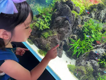 すみだ水族館に投稿された画像（2023/8/10）