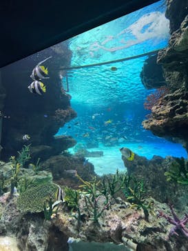 サンシャイン水族館に投稿された画像（2023/8/10）