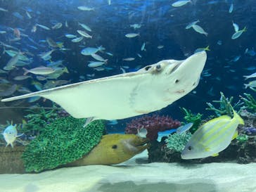 サンシャイン水族館に投稿された画像（2023/8/10）