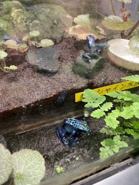 サンシャイン水族館に投稿された画像（2023/8/10）