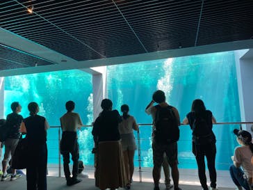 環境水族館アクアマリンふくしまに投稿された画像（2023/8/10）