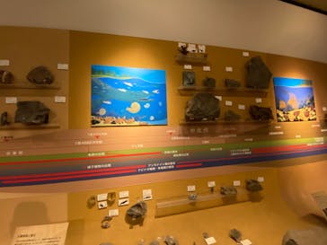 環境水族館アクアマリンふくしまに投稿された画像（2023/8/10）