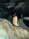 名古屋港水族館に投稿された画像（2023/8/10）