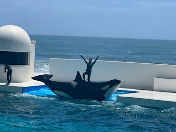 鴨川シーワールドに投稿された画像（2023/8/10）